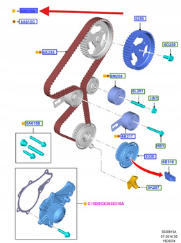 ZESTAW ROZRZĄDU Z POMPĄ WODY FORD 1.5 TDCi 2008687 _ FM5Q-8B596-AB