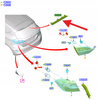 TRZECIE ŚWIATŁO STOPU FORD PUMA FOCUS FIESTA 17- 2122848 _ H1BB-13A613-AC
