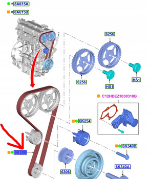 PASEK ROZRZĄDU 1.4 1.6L DURATEC FORD _ 1823388 _  96MM-6K288-A2A