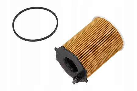 Filtr Oleju 1.6 Hdi 1109AY DV6 Citroen