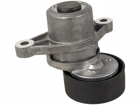 Zestaw Paska Osprzętu 1,6 HDI Citroen OE 1611277480