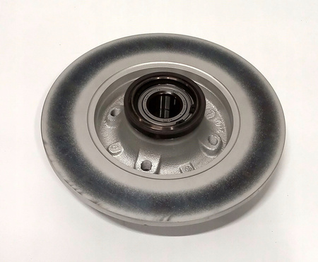 Tarcza hamulcowa przednia Citroen 1618878280