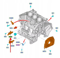 CZUJNIK FAZ ROZRZĄDU 1.0 1.5 EB FIESTA FOCUS 2018- 2651281 _ H6BG-6L618-AC