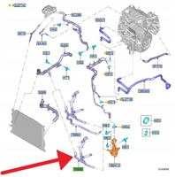 PRZEWÓD CHŁODZENIA WODY 2.0 ECOBLUE FOCUS 2018- 2388924 _ JX61-8566-PG