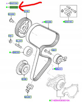 ZESTAW ROZRZĄDU POMPA WODY 1.4 TDCi FIESTA FUSION 2008680 _ 2S6Q-8B596-AB