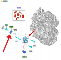 KOŁO ZĘBATE POMPY WTRYSKOWEJ 2.0L ECOBLUE KUGA 20- 2647013 _ PZ3Q-9A546-AA