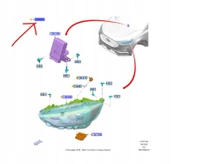 REFLEKTOR PRAWA STRONA FORD EDGE MK2 2019- OE 2479881 _ KT4B-13W029-BH