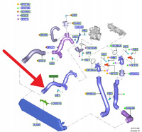 RURA INTERCOOLERA 1.0 EB FORD FOCUS Mk4 2018- 2492134 _ LX61-6C646-MA