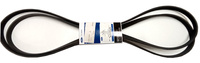 PASEK KLINOWY 2.2L TDCI FORD TRANSIT 2011- 2014- 1750991 _ CC1Q-6C301-FA