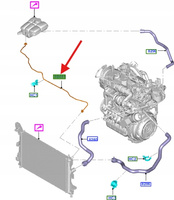 PRZEWÓD CHŁODNICY WODY 1.5 1.6 TDCi C-MAX FOCUS 1703510 _ BV61-8C012-AA