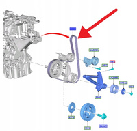 PASEK KLINOWY 1.0 EB FORD FIESTA PUMA FOCUS 2018- 2225236 _ JX6G-6C301-AA
